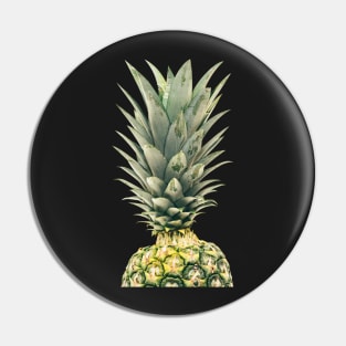 Beautiful Pineapple 16 Pin