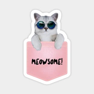 Cat Lovers, Meowsome, Cat Sassy Design, Cat Teeshirt Magnet