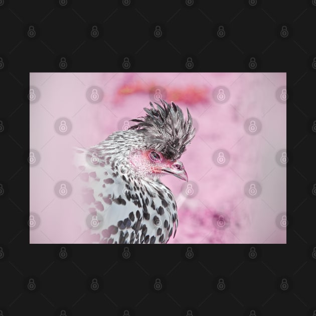 Rooster pinky / Swiss Artwork Photography by Wolf Art / Swiss Artwork Photography