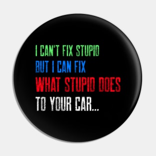 I can't fix stupid. But I can fix what stupid does to your car. Pin