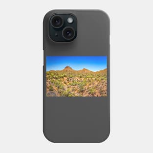 Apache Trail Scenic Drive View Phone Case