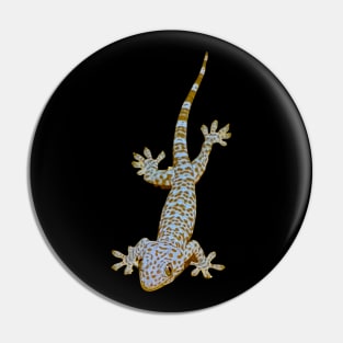 Tokay Gecko Pin