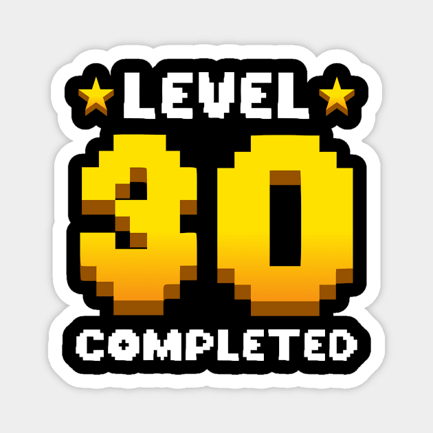 Level 30 Completed Retro Gaming Gift Magnet by QQdesigns