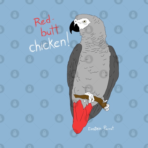 African Grey Parrot Red Butt Chicken by Einstein Parrot