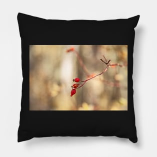 Wild Rose Fruit Pillow