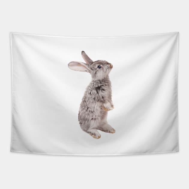 Rabbit 12 Tapestry by froileinjuno