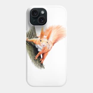 Red Squirrel Coloured pencil Drawing Phone Case