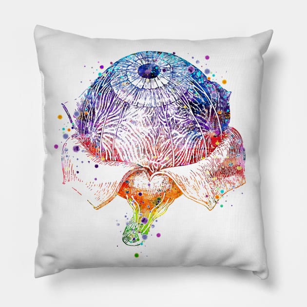 Eye Anatomy Watercolor Painting Pillow by LotusGifts