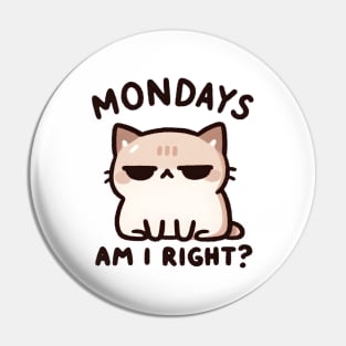 Cat's Take on the Monday Blues Pin