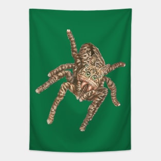 Jumping Spider Tabby Tapestry