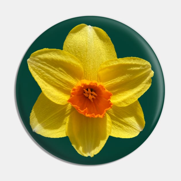 Daffodil Pin by Amanda1775