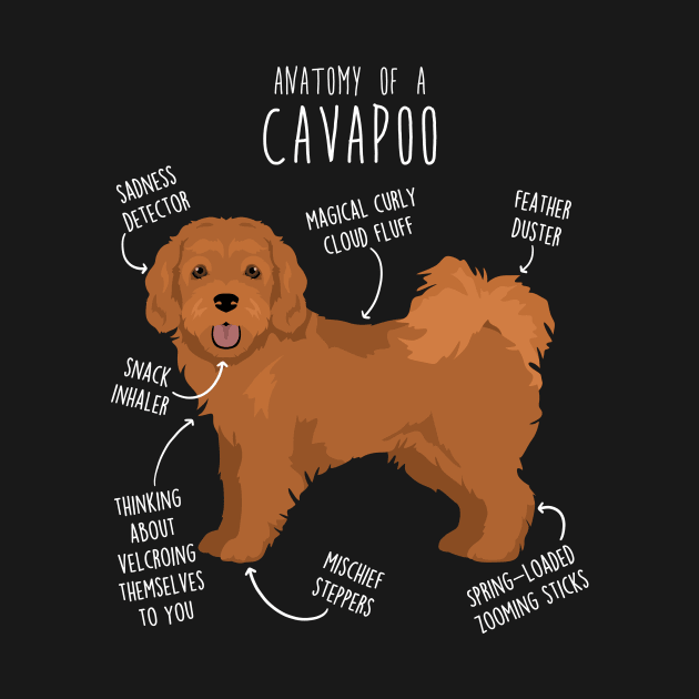 Cavapoo Dog Anatomy by Psitta