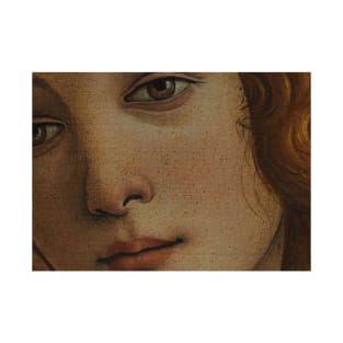 Venus by Sandro Botticelli - High Definition detail T-Shirt