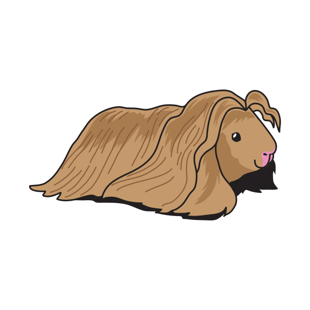 Very Long Haired Guinea pig by cheekyfoxart