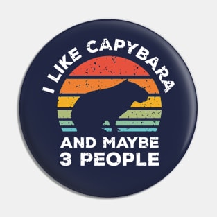 I Like Capybara and Maybe 3 People, Retro Vintage Sunset with Style Old Grainy Grunge Texture Pin