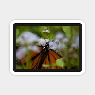 Butterfly Garden Magnet