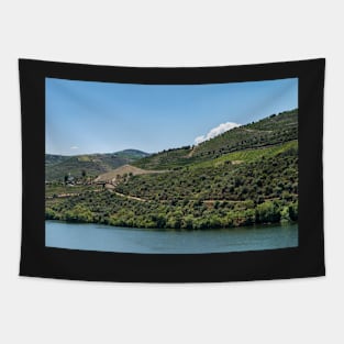 Point of view shot of terraced vineyards in Douro Valley Tapestry