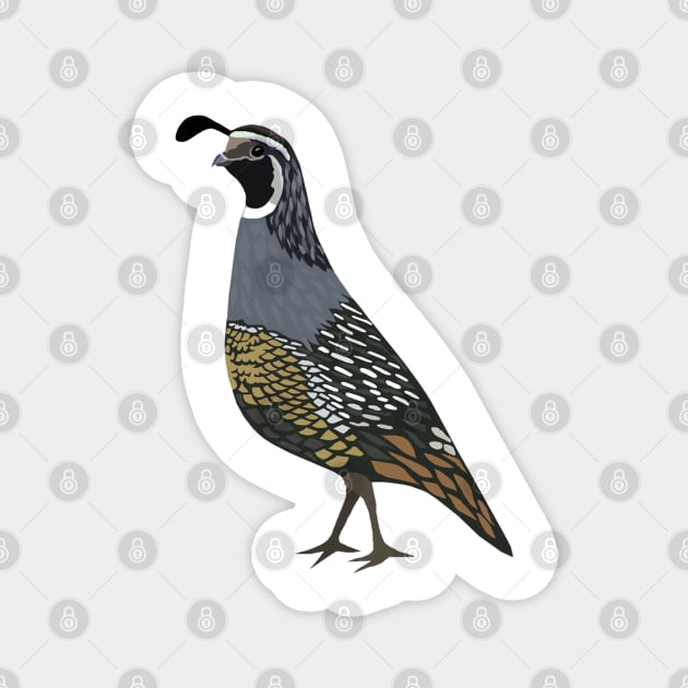 California Quail Magnet by juliabohemian