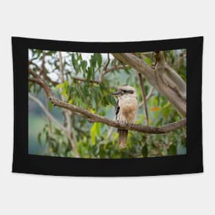 Kookaburra: Iconic Aussie Wildlife Tapestry