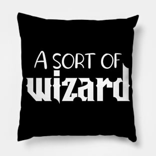 A sort of wizard Pillow