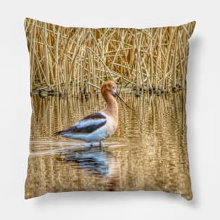 Migrating American Avocets Pillow