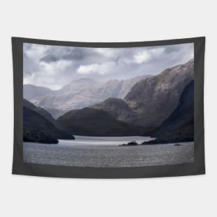 Fjords Tapestry