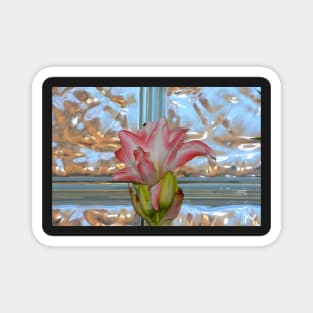 Studies in Glass Brick #4--Amaryllis Magnet