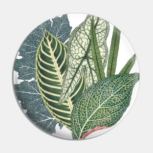 Green tropical leaves Pin