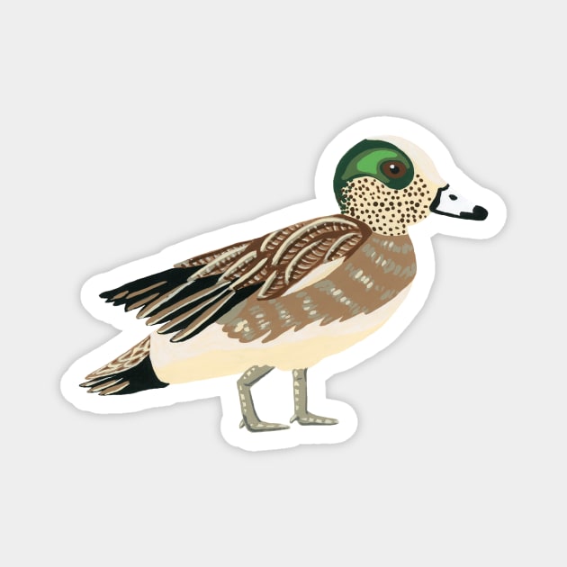 American Wigeon Duck Magnet by paintedpansy