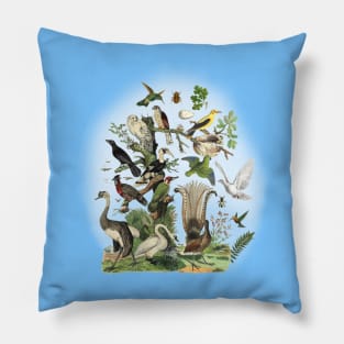 Birds Illustration Pillow