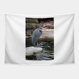 Blue Heron Hanging out on a Rock Tapestry