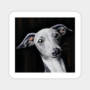 whippet Magnet