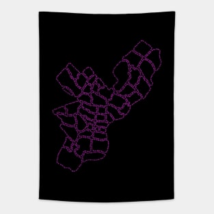 Philadelphia Zipcode Map (pink) Tapestry