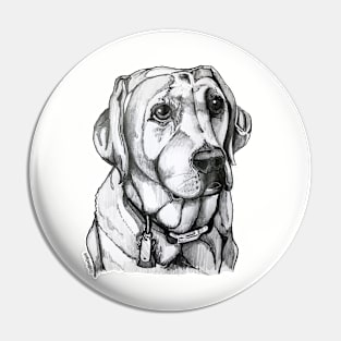 Labrador Pin