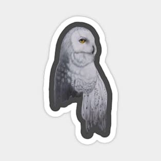 owl Magnet