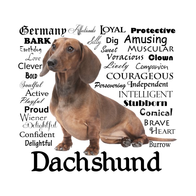 Dachshund Traits by You Had Me At Woof