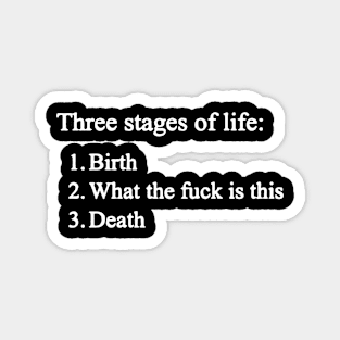 The stages of life Magnet