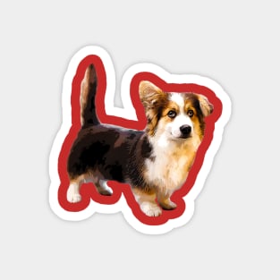 Cute Corgi Puppy Dog Magnet