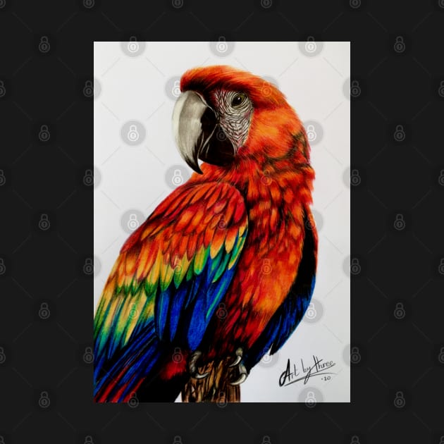 Red Parrot by Artbythree