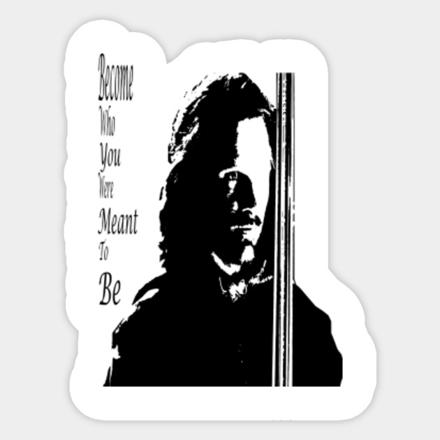 Aragorn Destiny