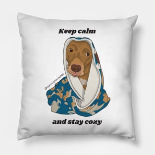 Keep calm and stay cozy Pillow