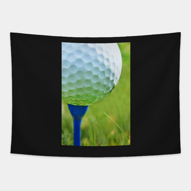 Golf Ball on Tee Tapestry by adrianbrockwell