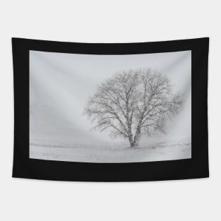 Bare Tree Tapestry