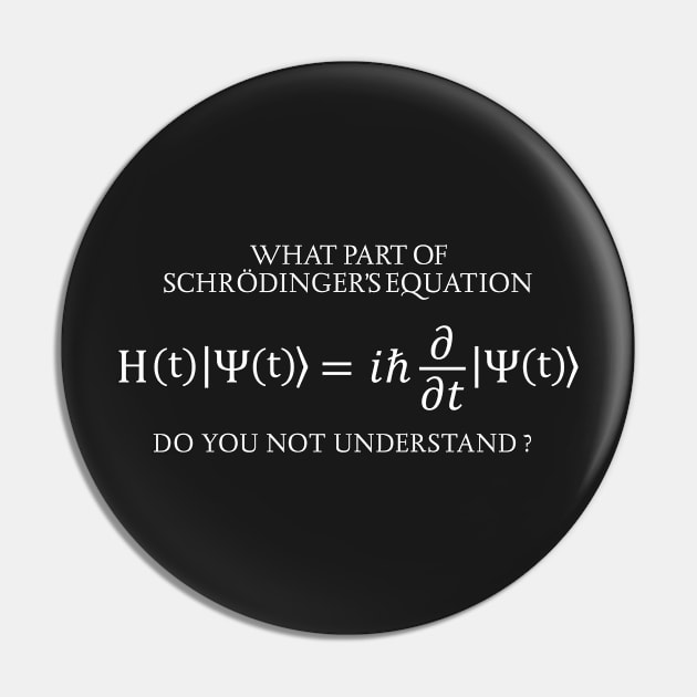 the Schrödinger Equation Pin by ScienceCorner