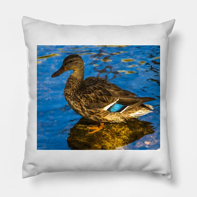 Quack! Pillow by StevenElliot