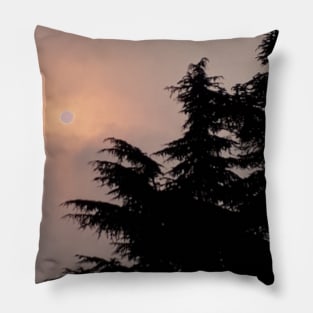 Evening Sun Tree Photography Me Pillow