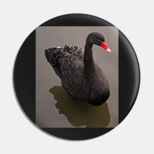 Black Swan Pin