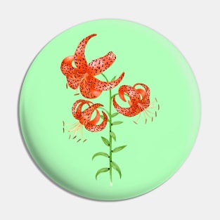 Tiger Lilies (Lilium lancifolium) Pin