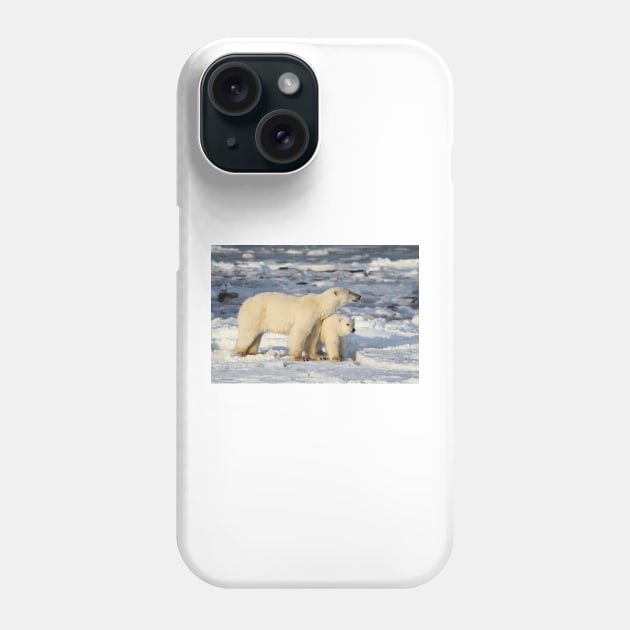 Standing Guard Over Her Cub, Churchill, Canada Phone Case by Carole-Anne