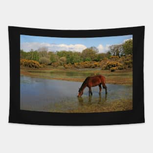 Setley Pond Tapestry